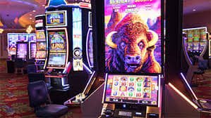 winbet 365